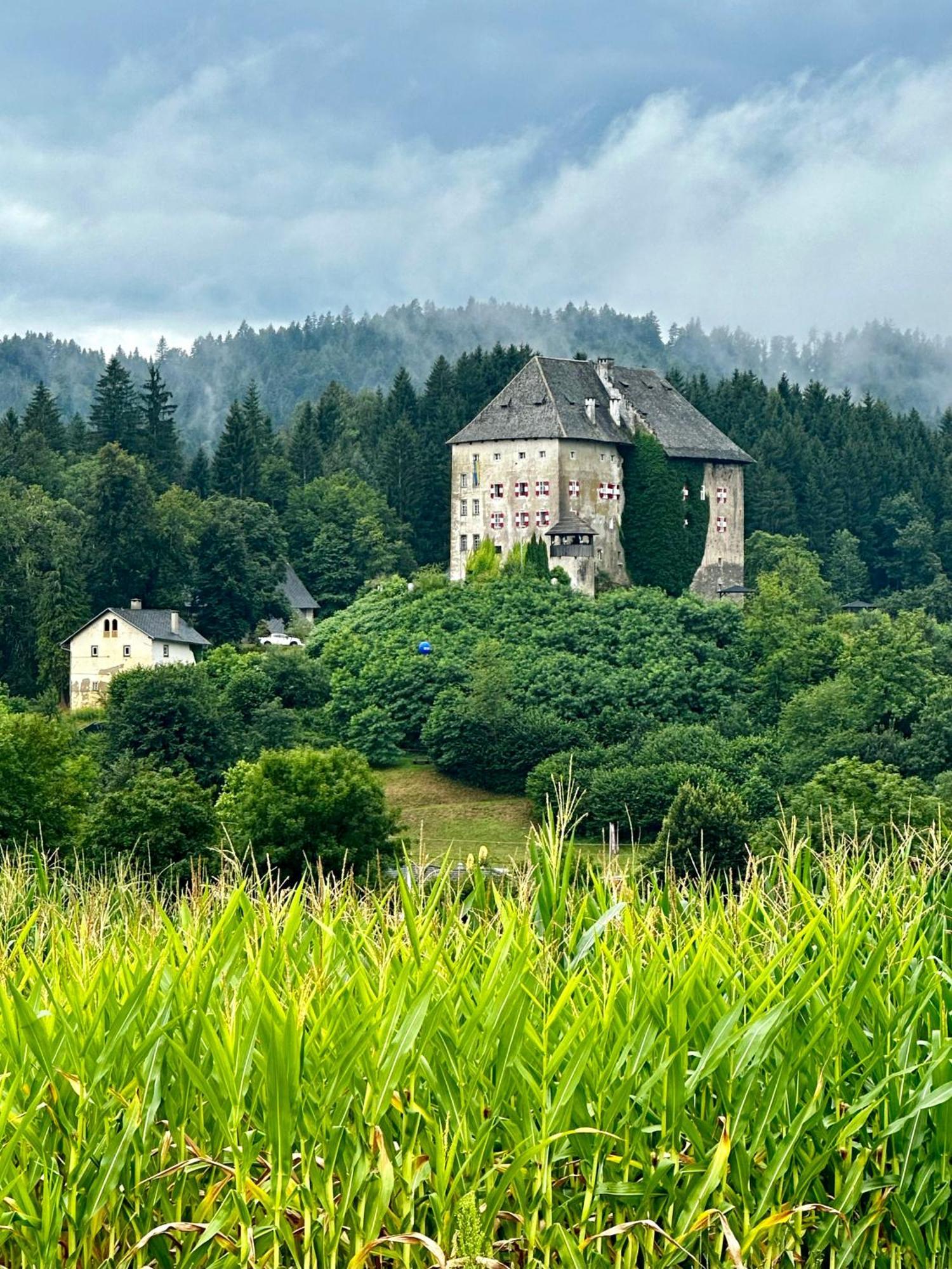 Schloss Moosburg Gaestehaus Экстерьер фото
